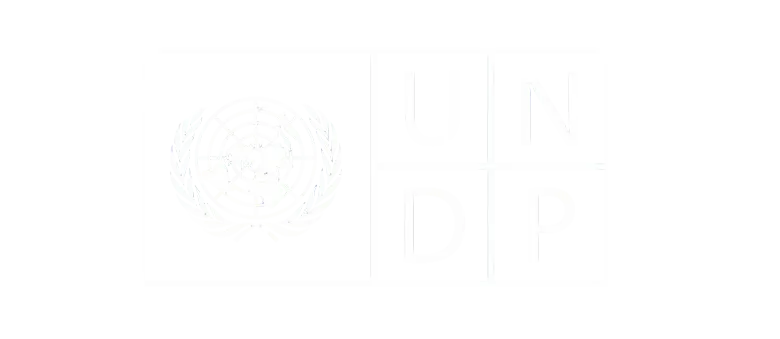 UNDP